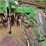 john-deere-630-image-7