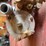rayfield-carburetor-image-4