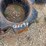 2281---2---1000lb-case-ih-rear-wheel-weights-image-2