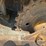 caterpillar-d5b-image-14