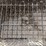 #2133-•-pet-lodge-kennel-image-6