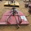 bush-hog-sq600-image-5