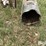 speedking-auger-image-11