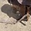 #2126-•-15"-saddle-image-11