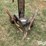 groff-ag-row-cleaners-image-11
