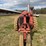 farmall-f-20-image-8