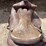 #2126-•-15"-saddle-image-7