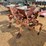 146---2-row-set-of-covington-planters-image-1