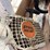 #2131-•-(2)-stihl-chainsaws-image-9