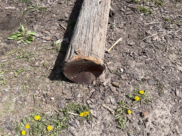 #2119-•-telephone-pole-image-3