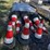 #30-•-(250)-safety-traffic-cones-image-1