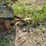 #2107-•-little-giant-20'-elevator-image-11