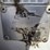 bobcat-s250-image-14