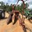 new-holland-718-image-6