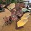138---3-bottom-flip-plow-image-2