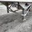 2006-great-dane-53'-reefer-image-7