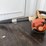 #6036-•-stihl-bg85-handheld-leaf-blower-image-1