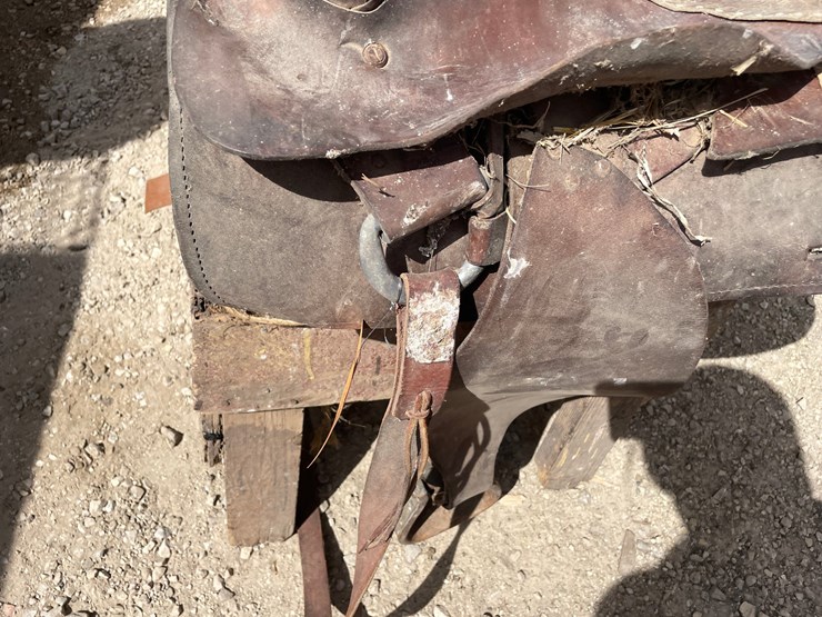 #2126-•-15"-saddle-image-9