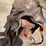 #2126-•-15"-saddle-image-10