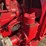 mccormick-deering-w-30-image-27
