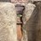 #2126-•-15"-saddle-image-13