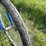 #2109-•-schwinn-meridian-trike-image-13