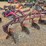 massey-ferguson-4-image-2