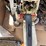 #2131-•-(2)-stihl-chainsaws-image-7