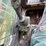 takeuchi-tl8-image-16