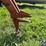 #2111-•-avco-ezee-flow-rake-image-11