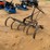 199---1-row-cultivator-image-4