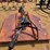 182---6'-bush-hog-rotary-cutter-image-5