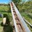 #2107-•-little-giant-20'-elevator-image-13