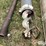 speedking-auger-image-10