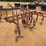 194---cultivator-7'-image-3