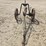 john-deere-15-image-2