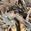 groff-ag-row-cleaners-image-18