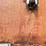 #3296-•-h&s-7-+-4-twin-auger-chopper-box-image-10