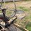 farmall-f-20-image-36