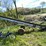 #2107-•-little-giant-20'-elevator-image-4