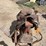 #2126-•-15"-saddle-image-2