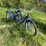 #2109-•-schwinn-meridian-trike-image-3