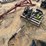 2252---(3)-chainsaws-&-(1)-pole-saw-image-3