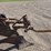 allis-chalmers-3-bottom-plow-image-3