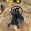 2271---liberty-bell-image-3