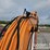 2017-hitachi-zx210-lc-6n-image-31