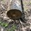 #2119-•-telephone-pole-image-6