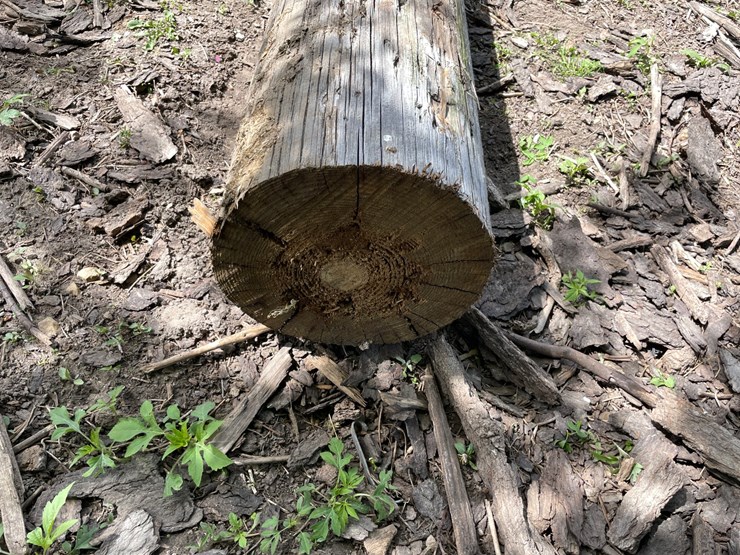 #2119-•-telephone-pole-image-6