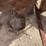 #2126-•-15"-saddle-image-12