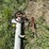 #2108-•-15'-auger-image-9